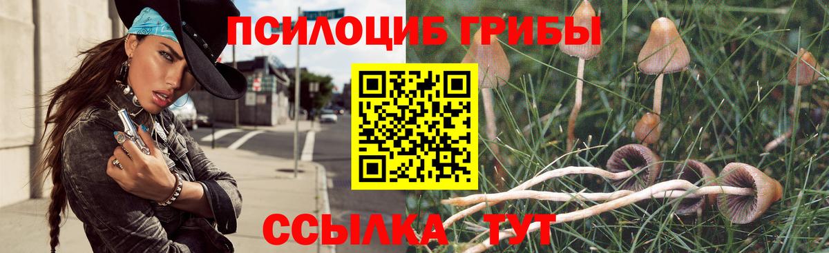 Галлюциногенные грибы Cubensis  Галлюциногенные грибы GOLDEN TEACHER  Новотроицк  Вход с VPN 